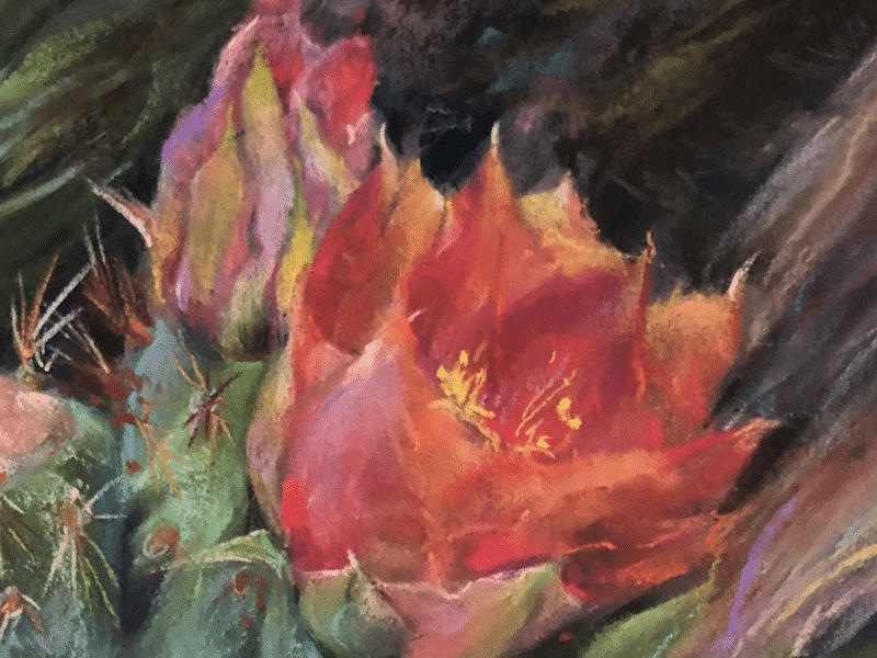 EXHIBITIONS: INSIDE PERSPECTIVES