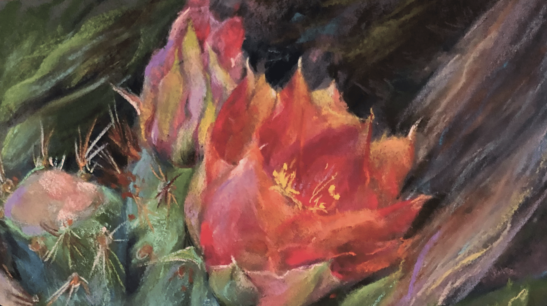 EXHIBITIONS: INSIDE PERSPECTIVES