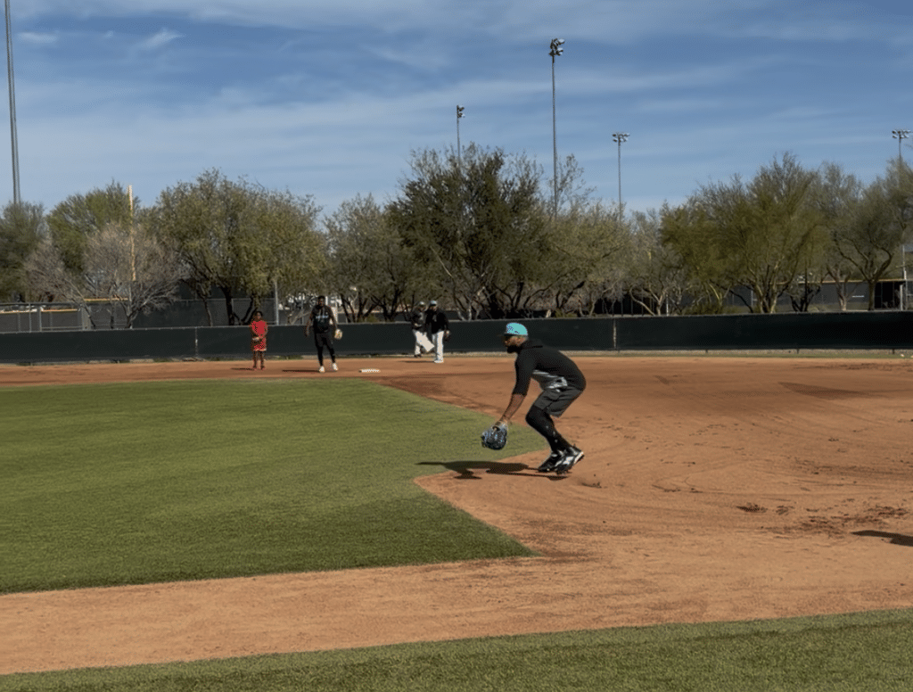 Arizona Diamondbacks