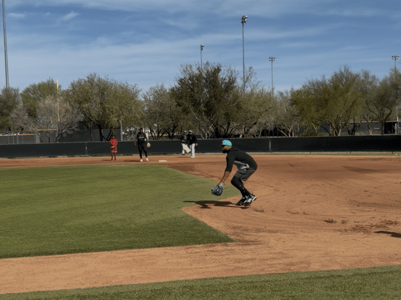 Arizona Diamondbacks