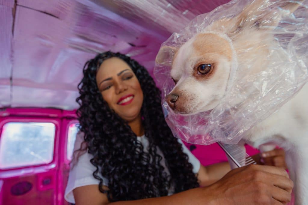 Desde su camioneta adaptada para grooming, Dana Faure brinda atención personalizada a perritos en distintas zonas del Valle de Arizona.